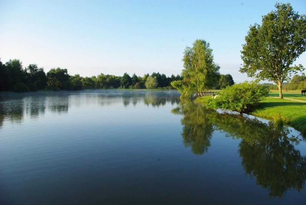 L'Oree Des Chenes, The Originals Relais La Ferté-Saint-Aubin Dış mekan fotoğraf